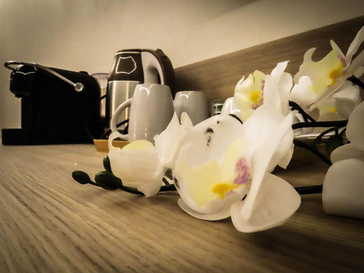 My Maison 70 Guest House روما المظهر الخارجي الصورة